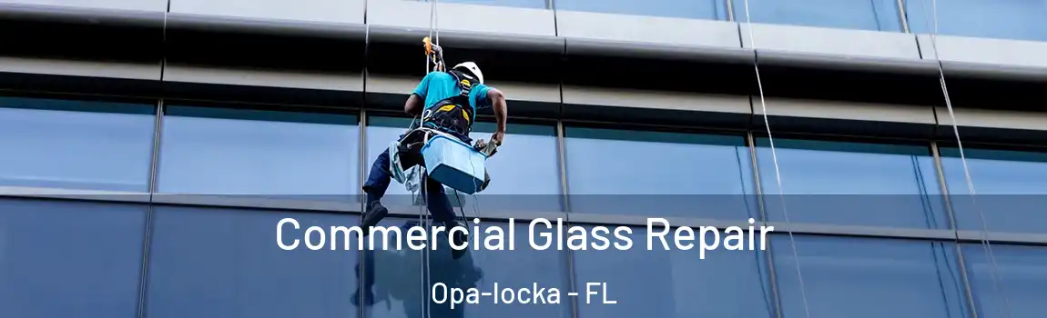 Commercial Glass Repair Opa-locka - FL
