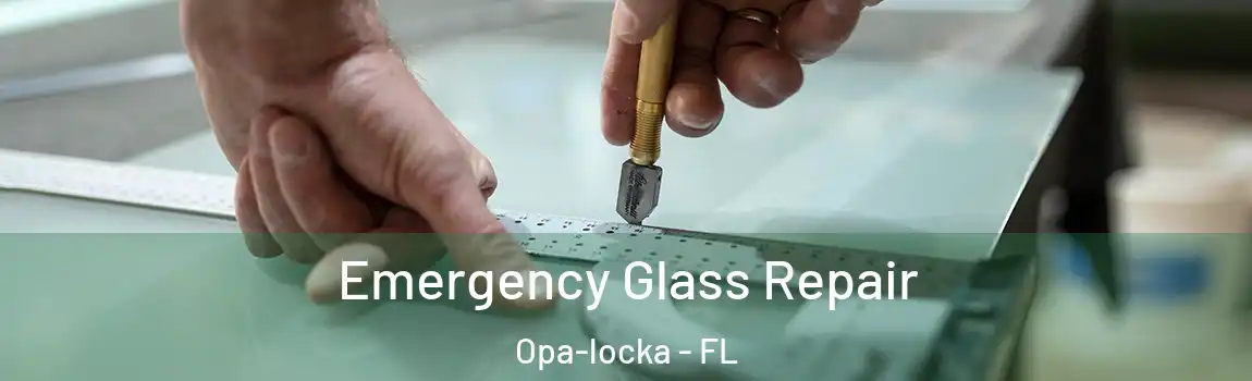 Emergency Glass Repair Opa-locka - FL