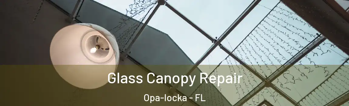 Glass Canopy Repair Opa-locka - FL
