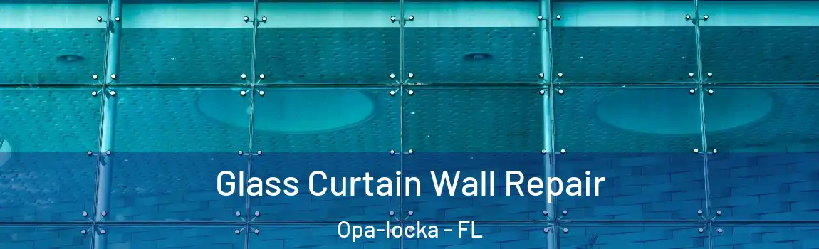 Glass Curtain Wall Repair Opa-locka - FL