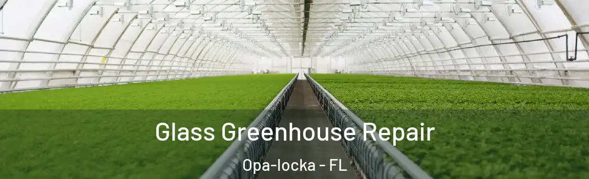 Glass Greenhouse Repair Opa-locka - FL