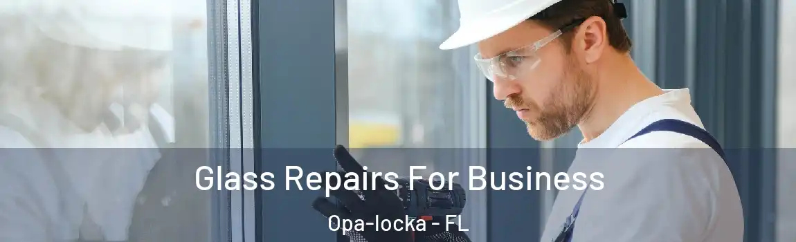 Glass Repairs For Business Opa-locka - FL