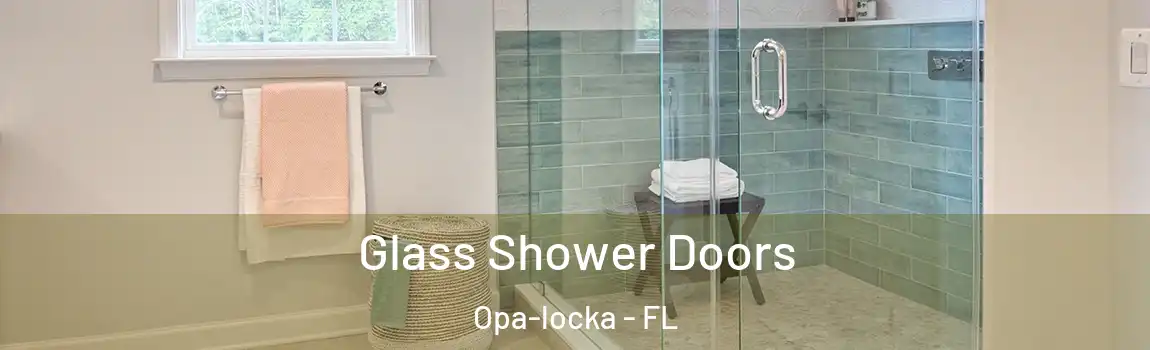 Glass Shower Doors Opa-locka - FL