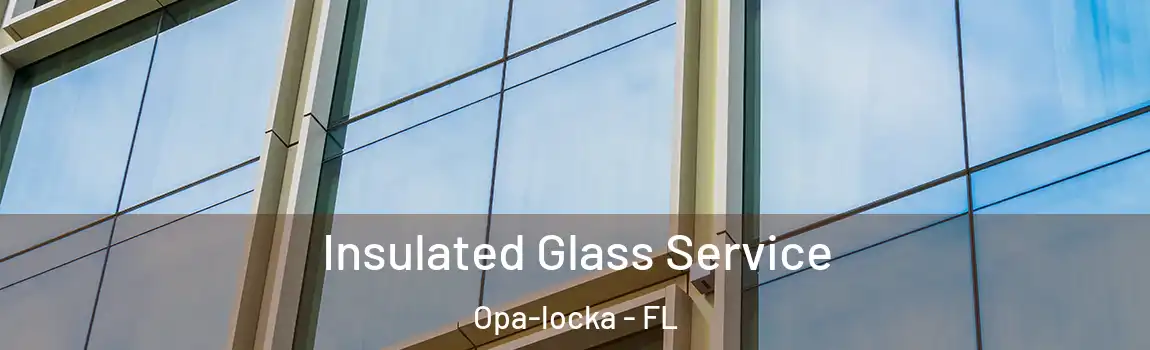 Insulated Glass Service Opa-locka - FL