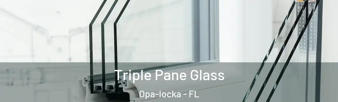 Triple Pane Glass Opa-locka - FL