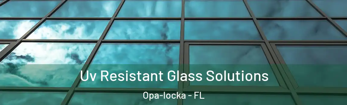Uv Resistant Glass Solutions Opa-locka - FL